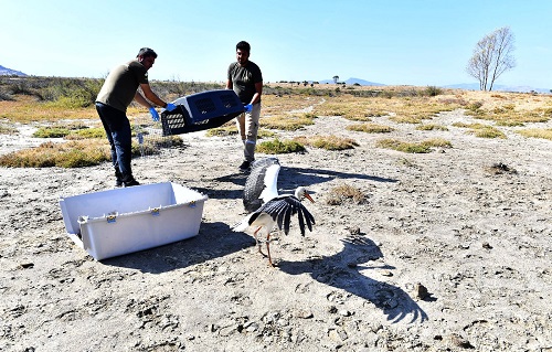 İzmir Doğal Yaşam Parkı yaban hayatın sakinlerine şifa dağıtıyor