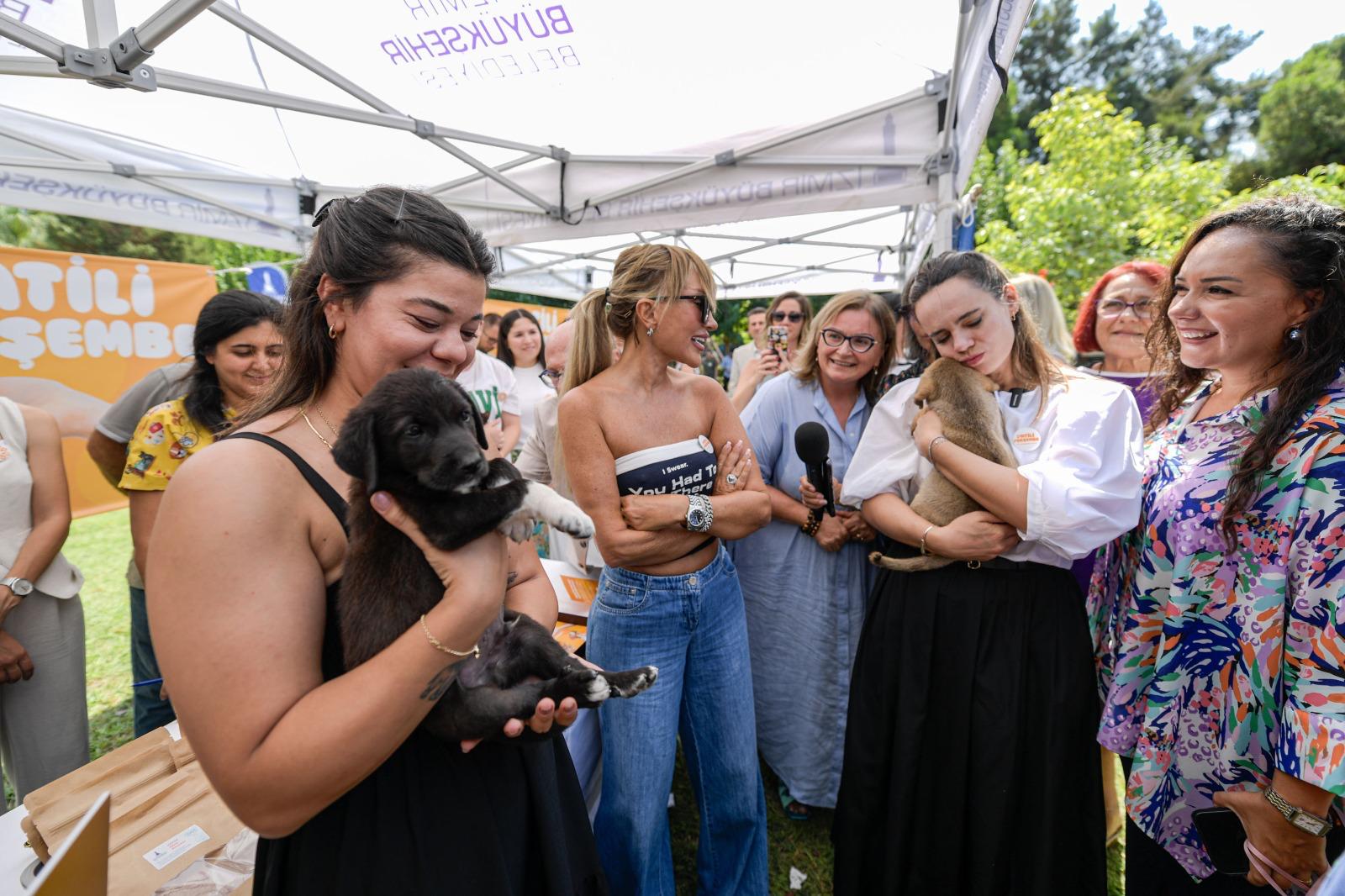 Sokaktaki canlar için yol haritası belirlendi  Sahipsiz Köpek Popülasyonu Yönetimi İzmir Eylem Planı hazırlandı