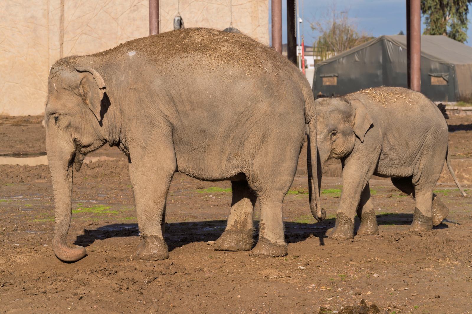 Doğal Yaşam Parkı’nda hedef 1 milyon ziyaretçi