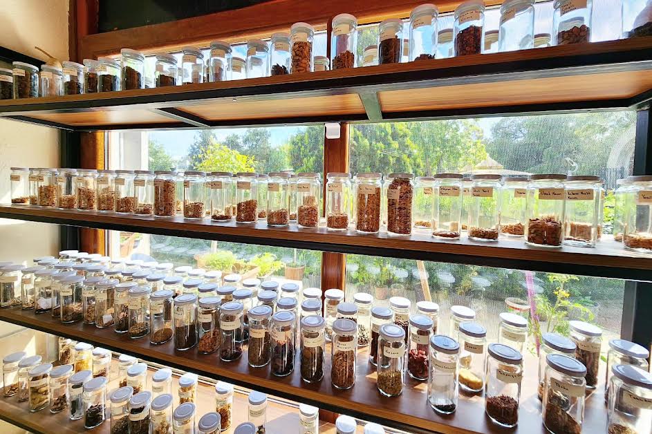 6 AYDA 200 BİN PAKET TOHUM HALKA DAĞITILDI