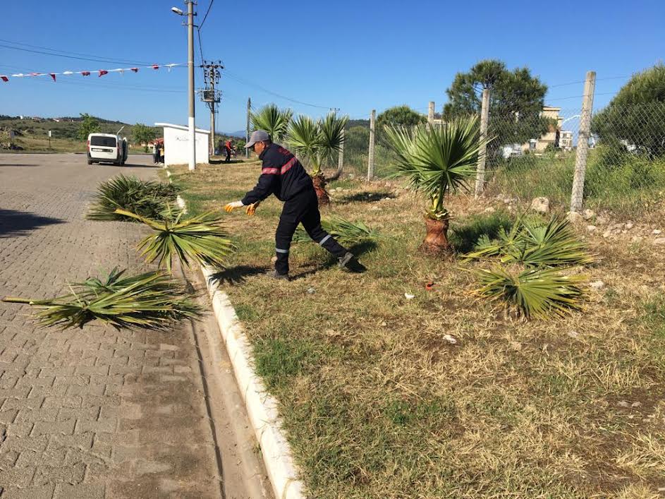 AYVALIK’TA, PARK VE BAHÇELER DETAYLI TEMİZLİK ÇALIŞMALARINI SÜRDÜRÜYOR