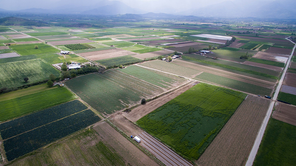 Modern Tarım, Güçlü Çiftçi