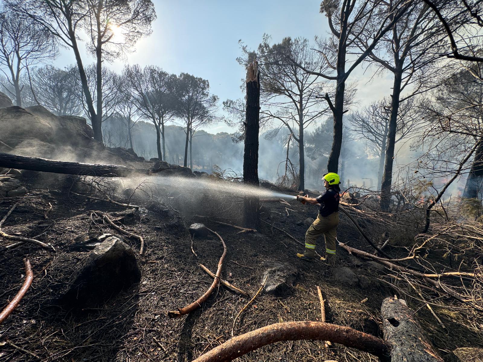Bergama’da orman yangını ile mücadele devam ediyor
