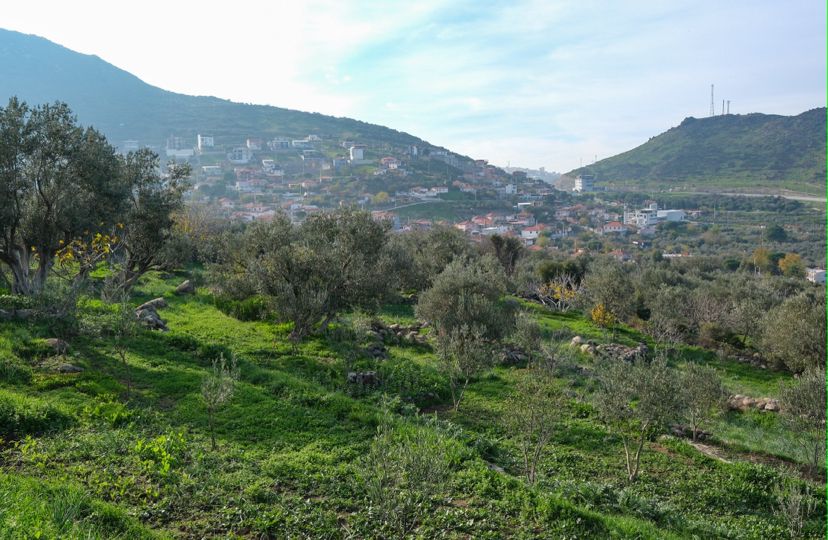 Menemen Belediyesi'nden AYVACIK'ta tarıma can suyu