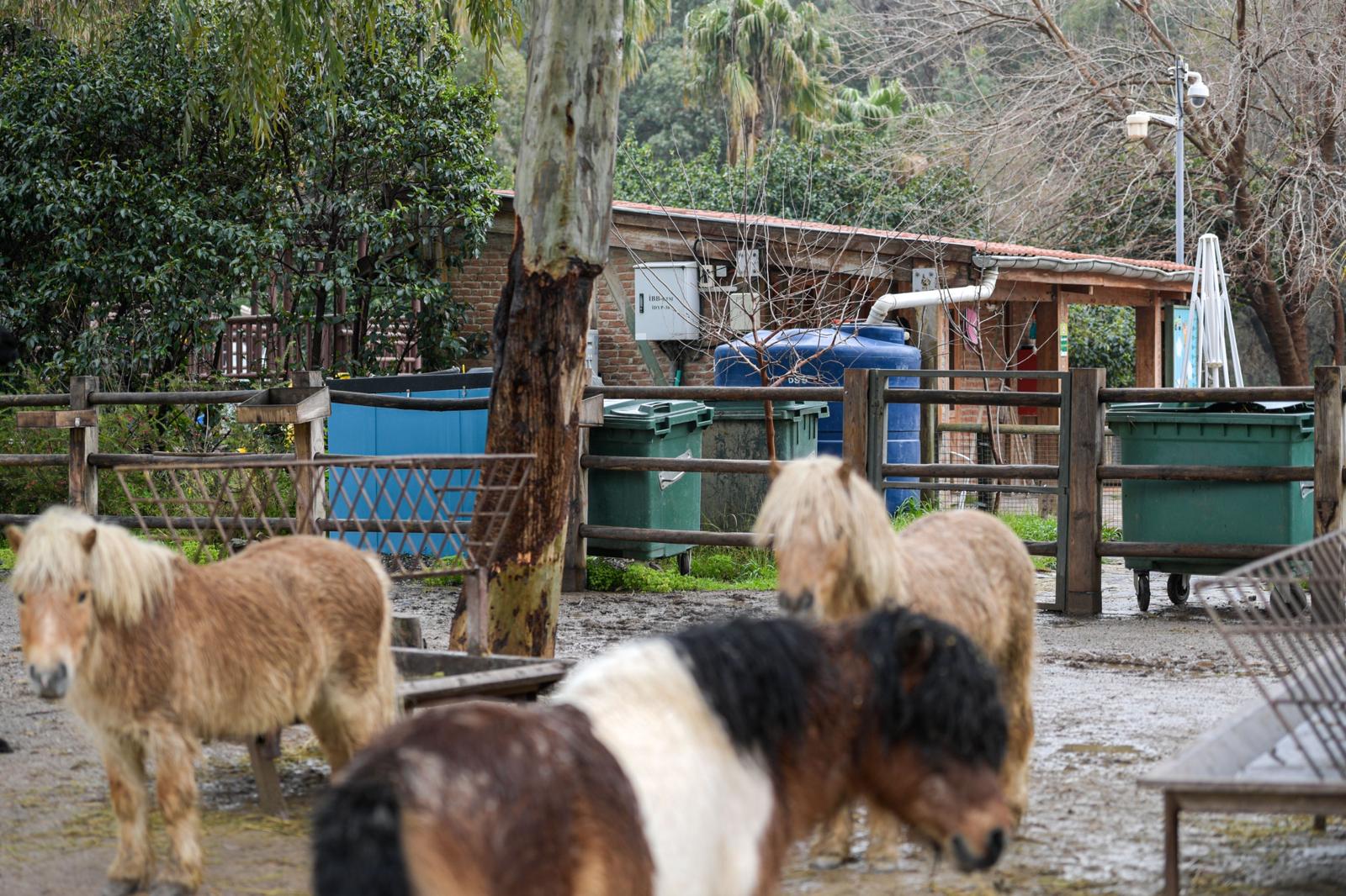 İzmir’de yağmur suyu hasadı yaygınlaşıyor
