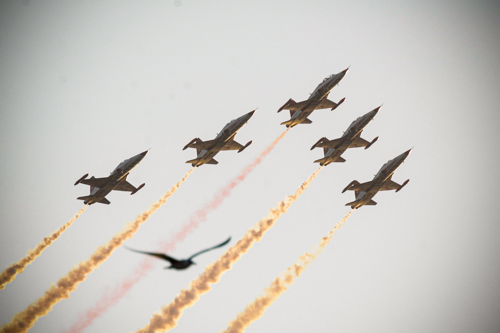 Türk Yıldızları 29 Ekim provasında göz doldurdu   