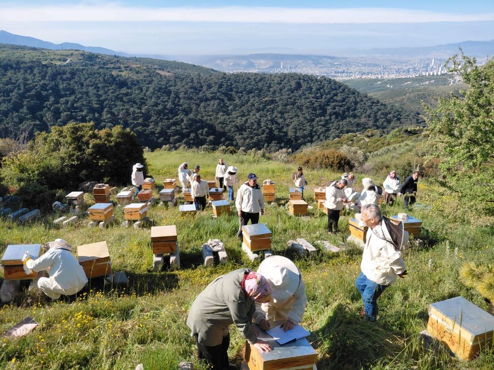 Arıcılığa güçlü destek. Bornova’da 10. kurs tamamlandı