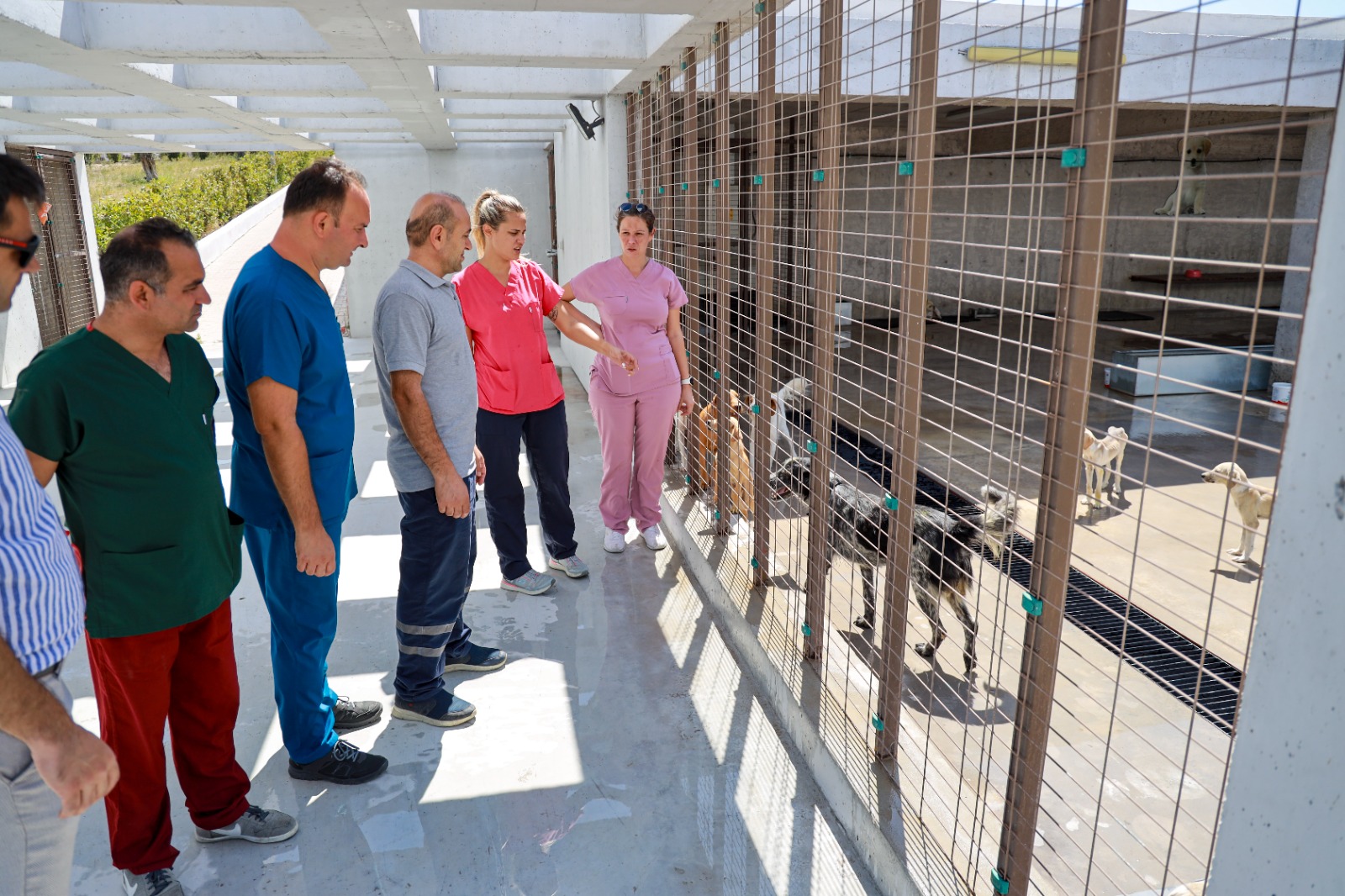 Karşıyaka’da yangından kurtarılan can dostlar emin ellerde