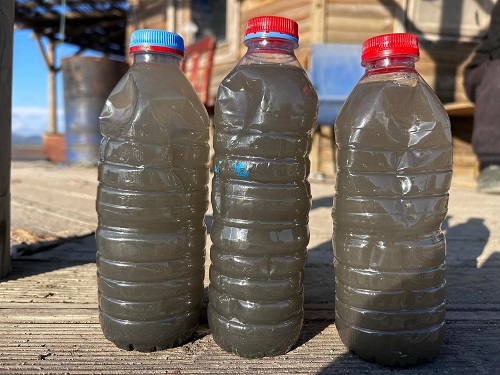 Gediz’deki Kirliliği Mutlaka Durdurmamız  Gerekiyor. Yoksa Canlı Hayat Kalmayacak!