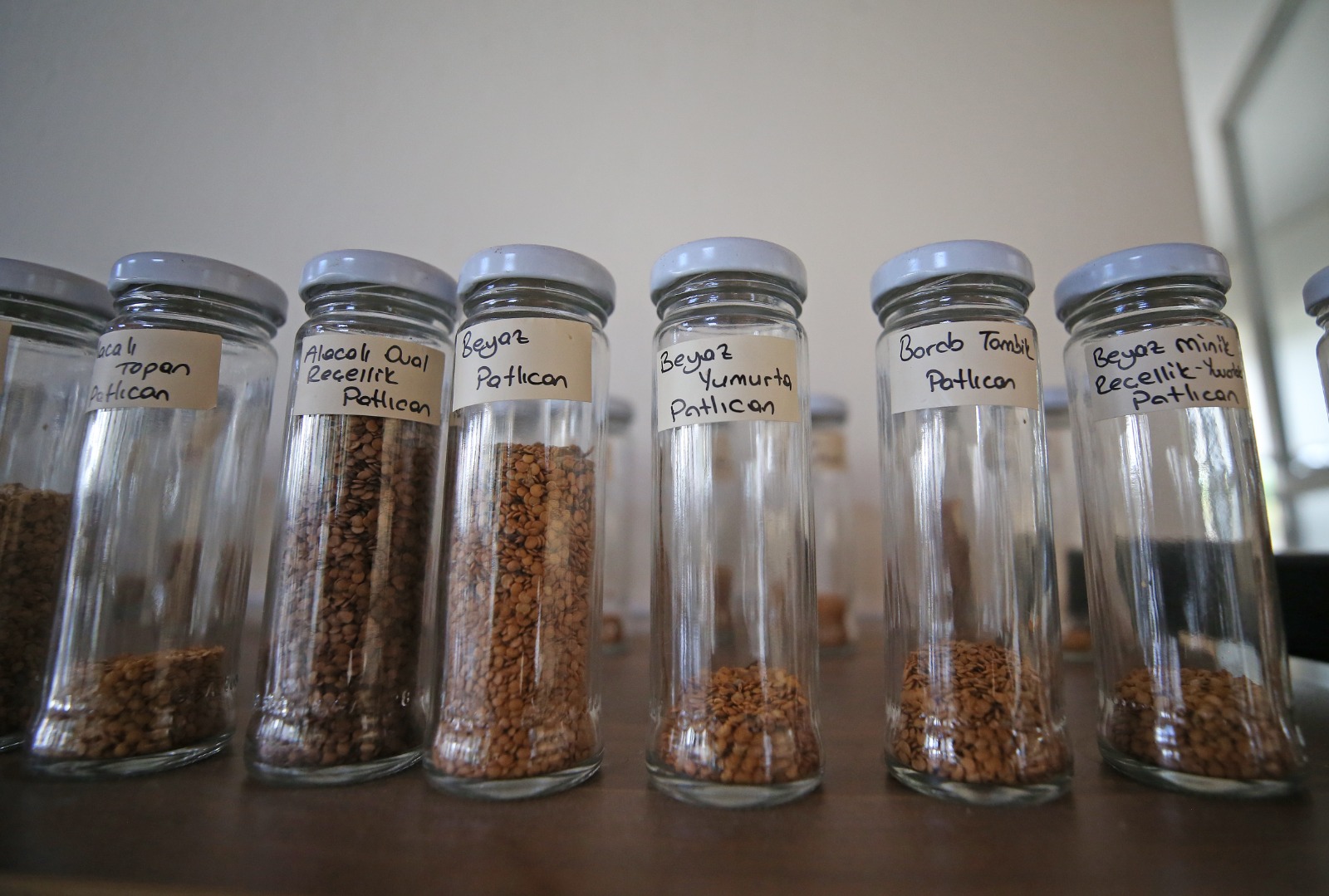 Karşıyaka’da yerel tohum bereketi