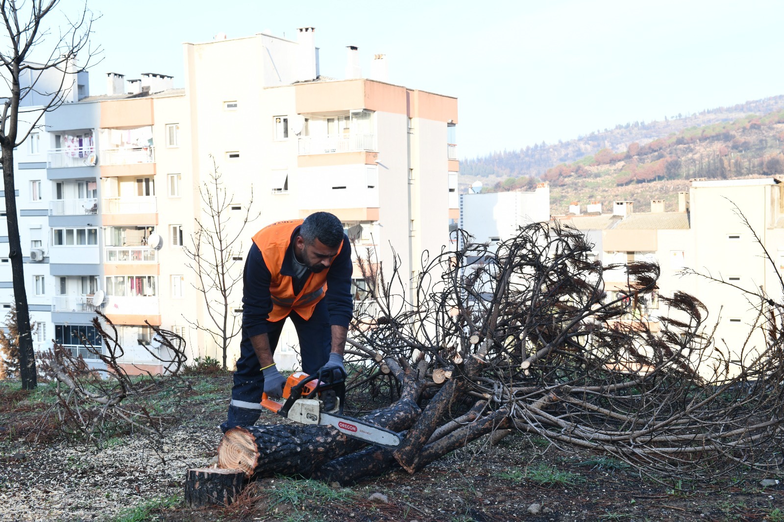 Çiğli Belediyesi Orman Yangınının İzlerini Silmek İçin Seferber Oldu