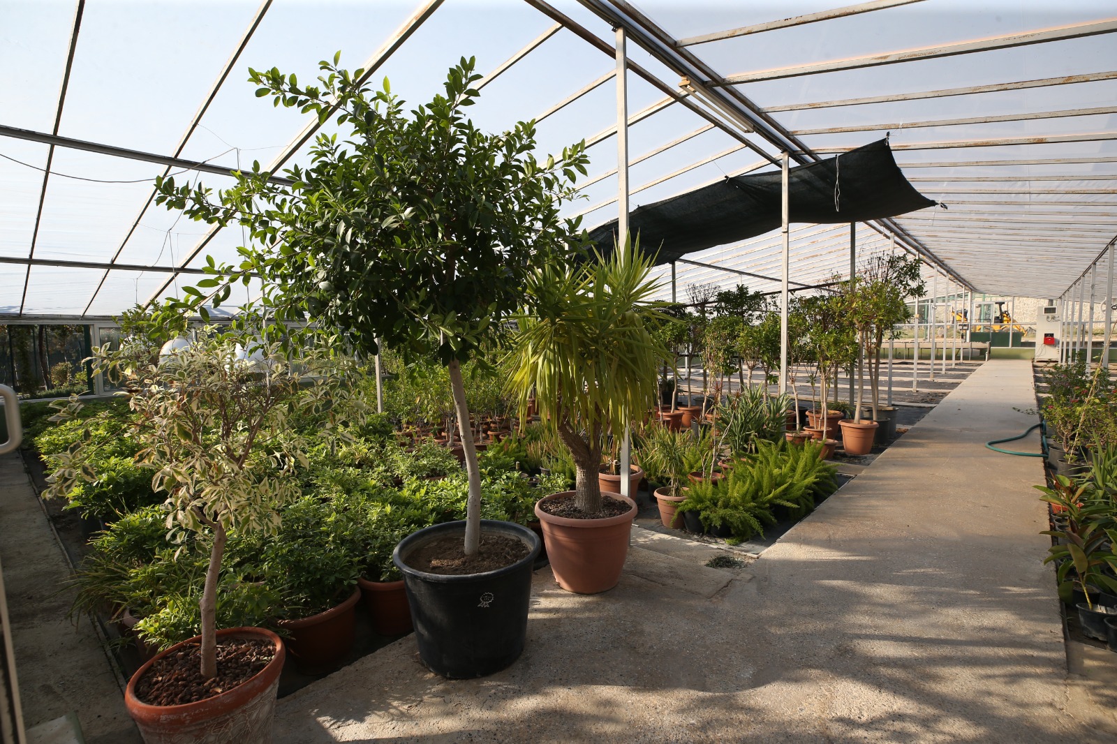 Belediye üretecek, Karşıyaka güzelleşecek