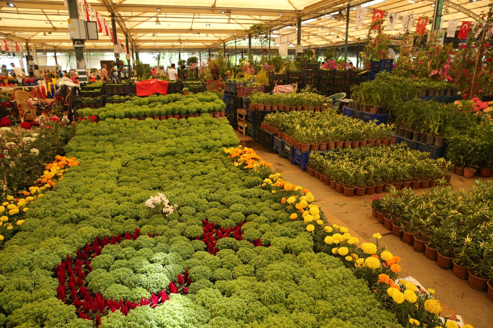 Yılın en renkli festivali 16 Mayıs’ta başlıyor!