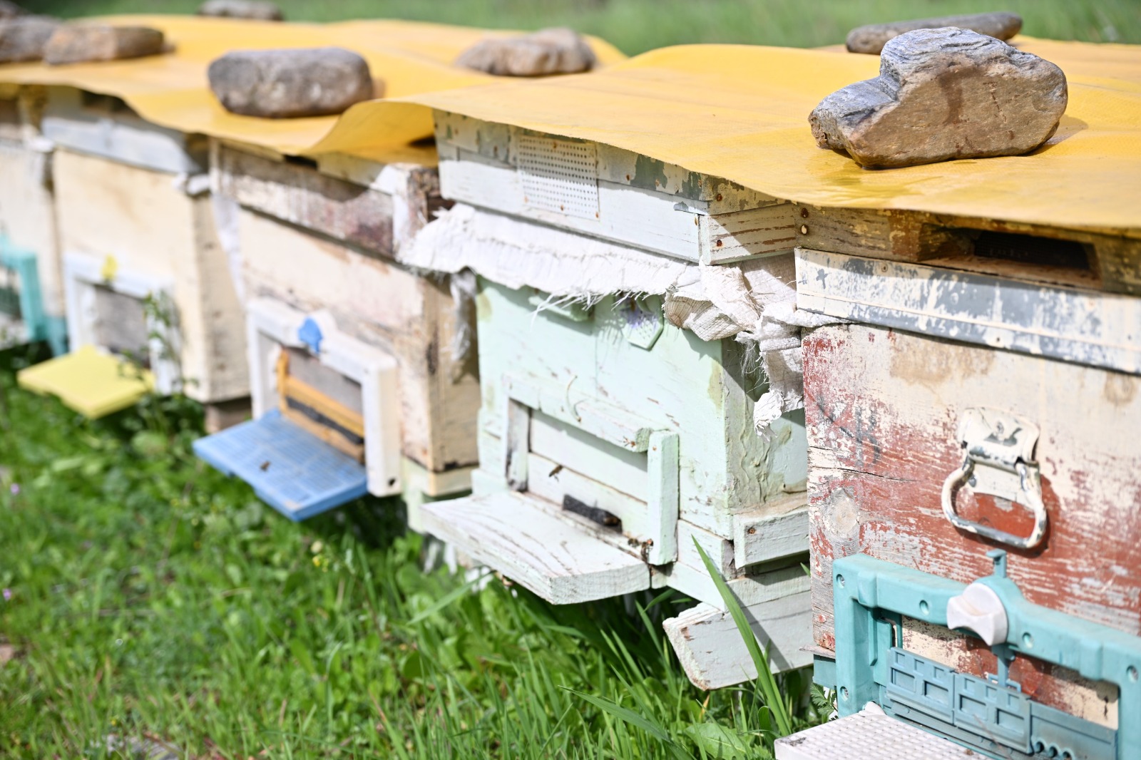 Büyükşehir’den Sel Mağduru Arıcıya Kovan Desteği