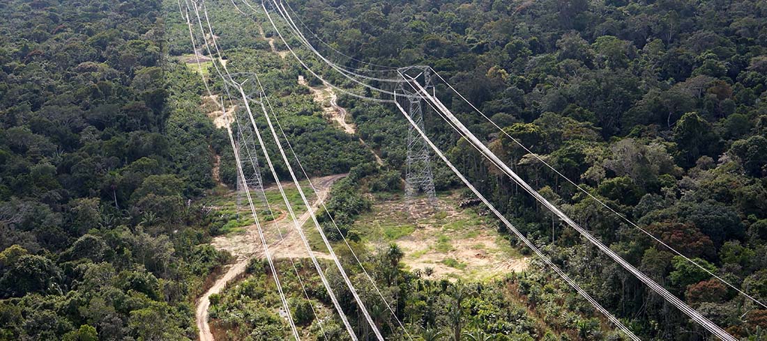 “Enerji Nakil Hatları Süratle Orman Alanlarının Dışına Çıkarılmalı”