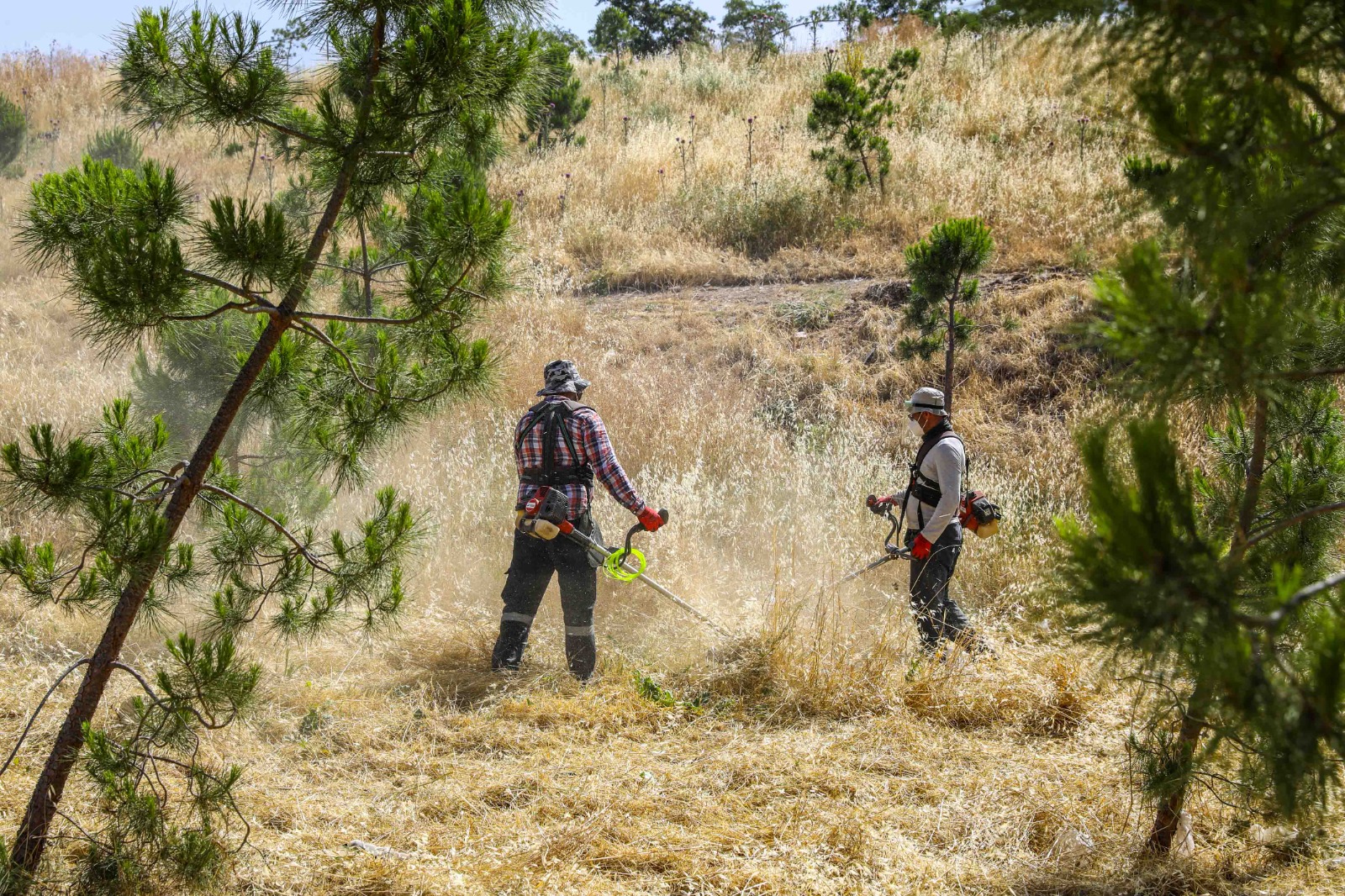 Buca'da yangın riskine karşı kosa önlemi