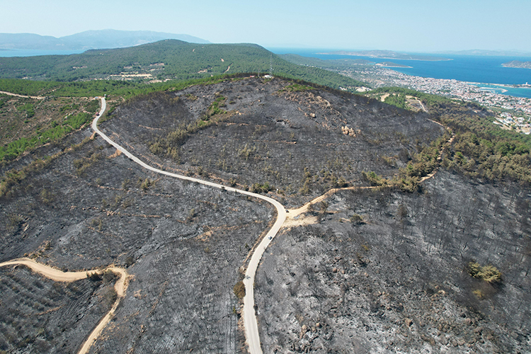 Urla meclisinden Başkan Balkan’a ağaçlandırma yetkisi