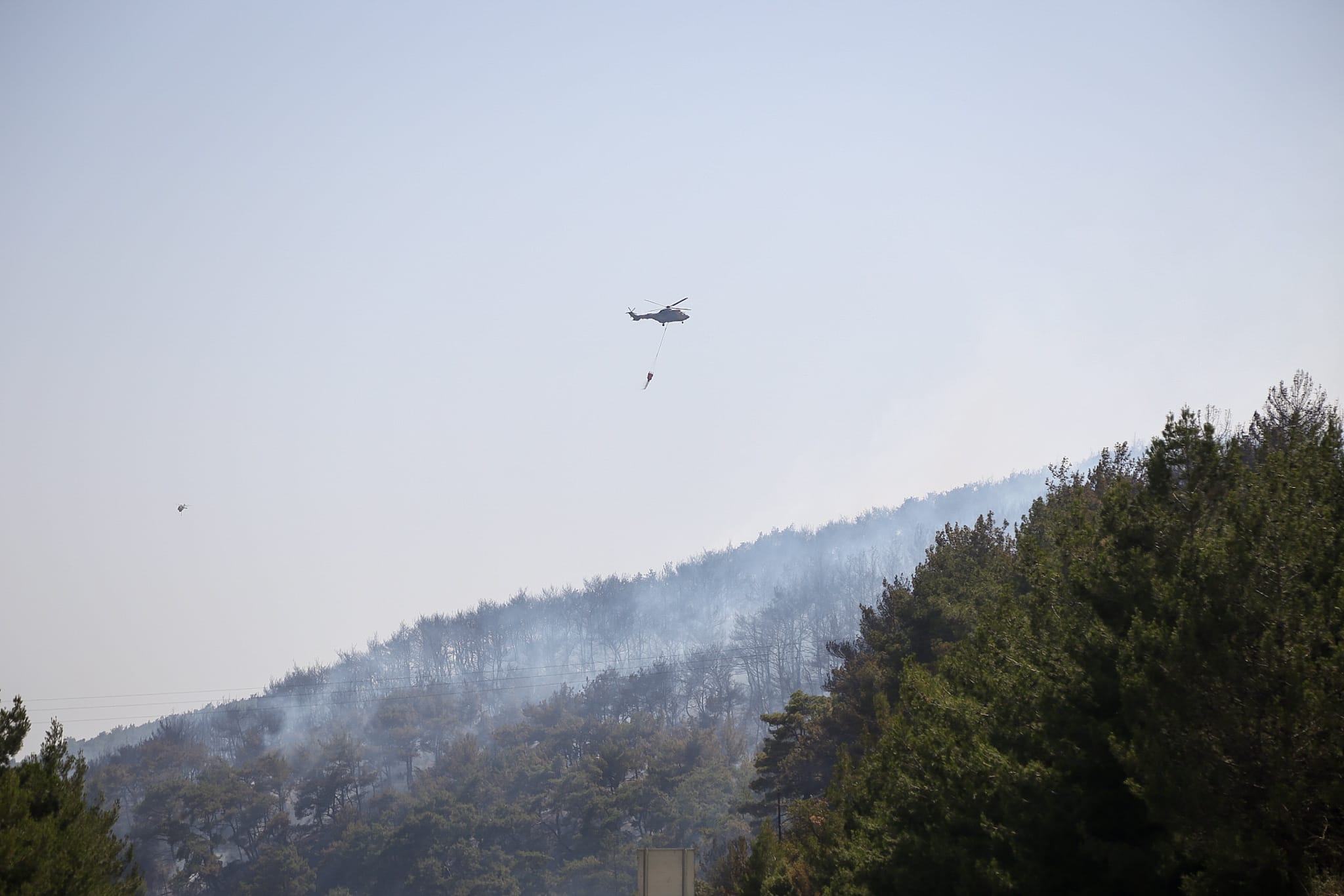Bornova'da korkutan orman yangını: Alevler bu kez Beşyol’dan yükseldi