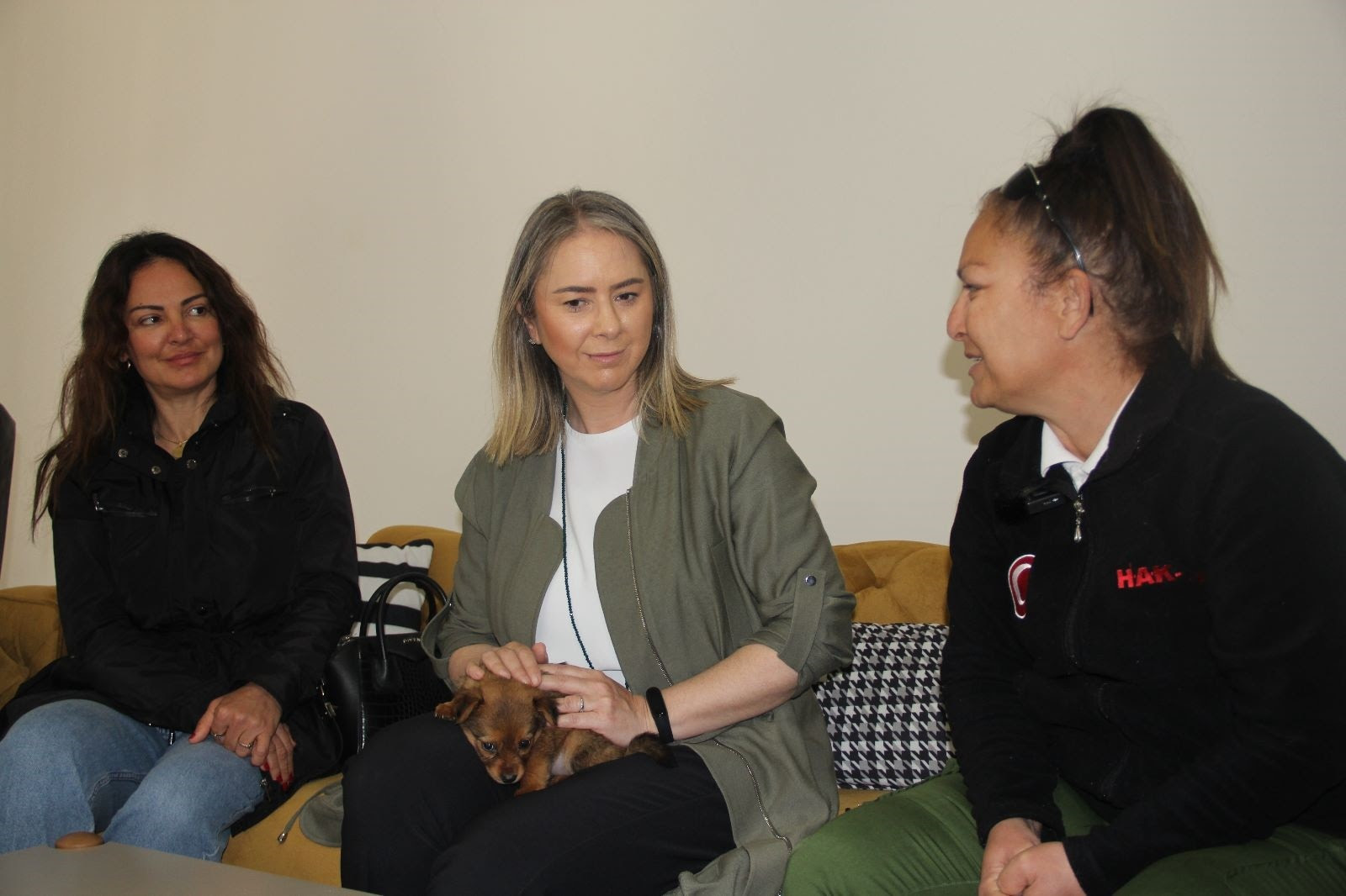 AK Partili Çankırı’dan İzmir’e sokak hayvanları için 2 müjde!