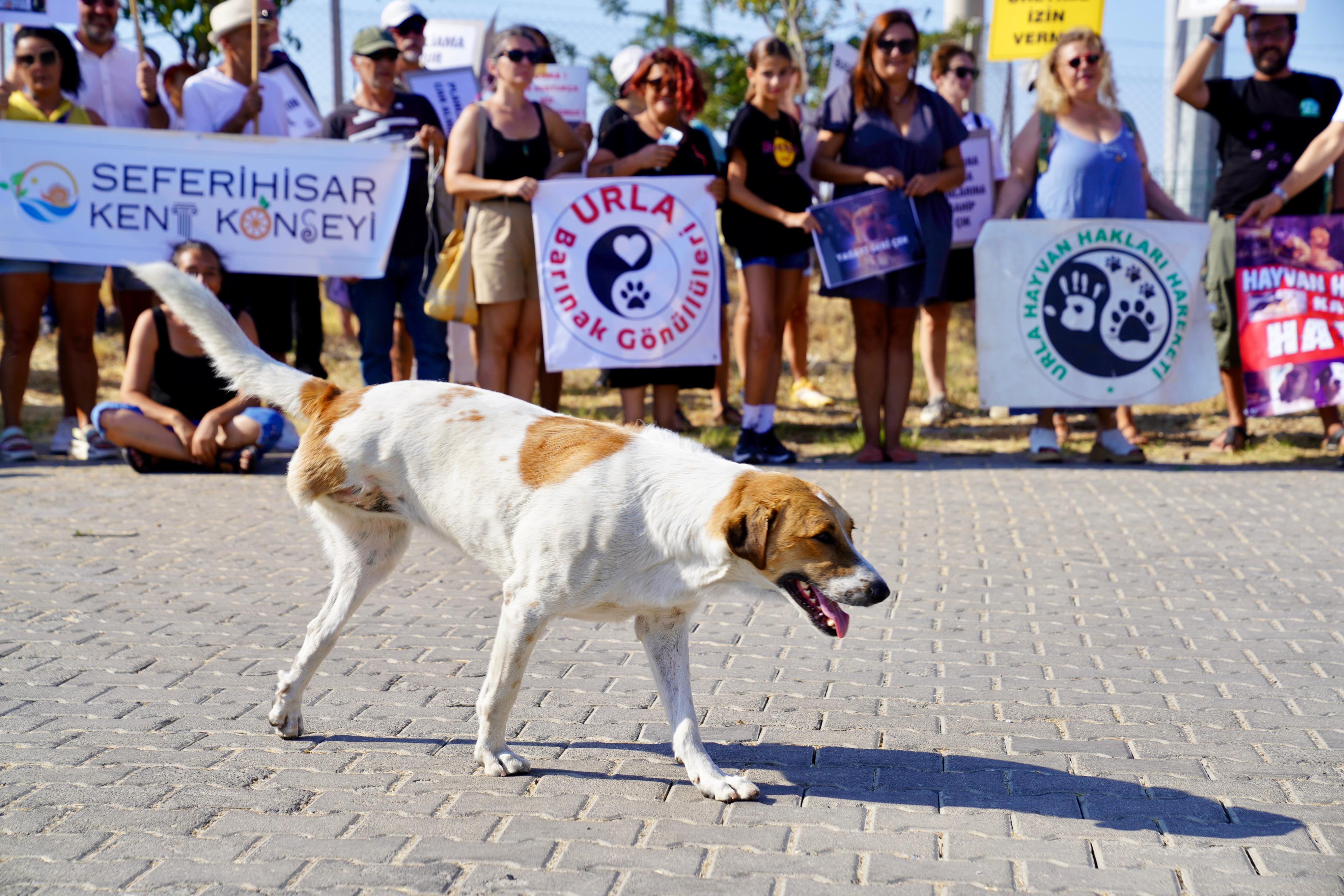 “Öldüren değil yaşatan taraftayız”